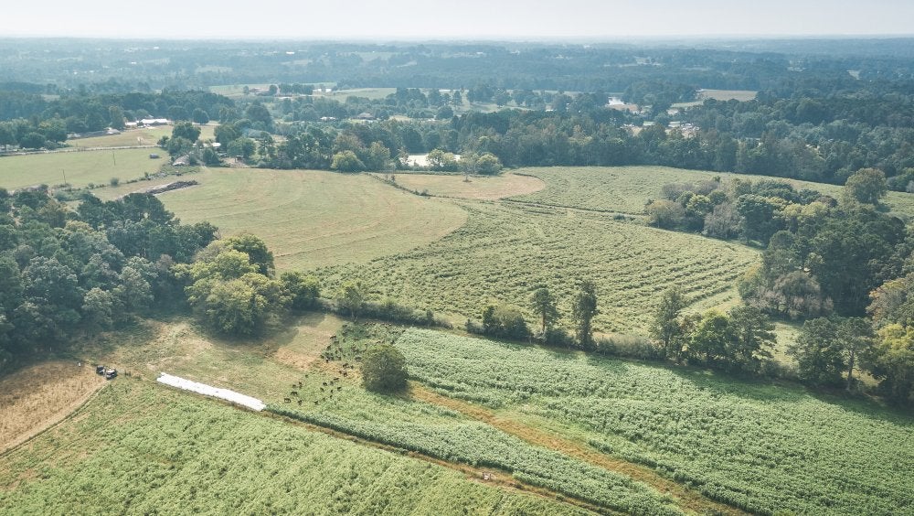 Ariel picture of land