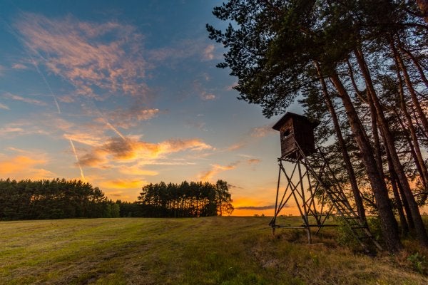 hunting stand at dusk