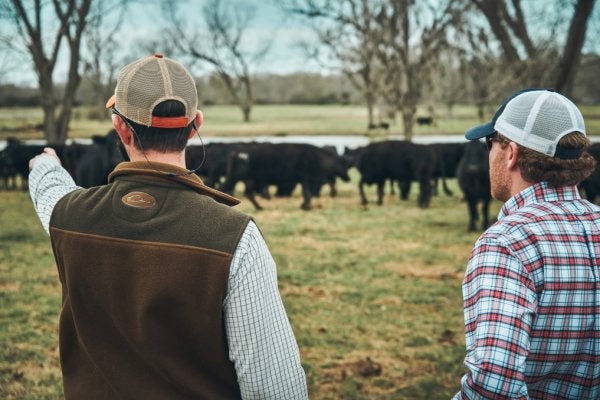 guys in a cow pasture