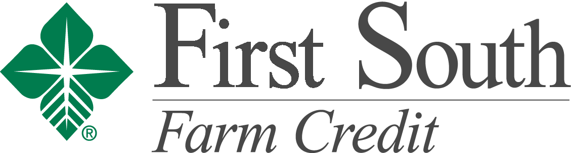 Candidate Profile Form Logo